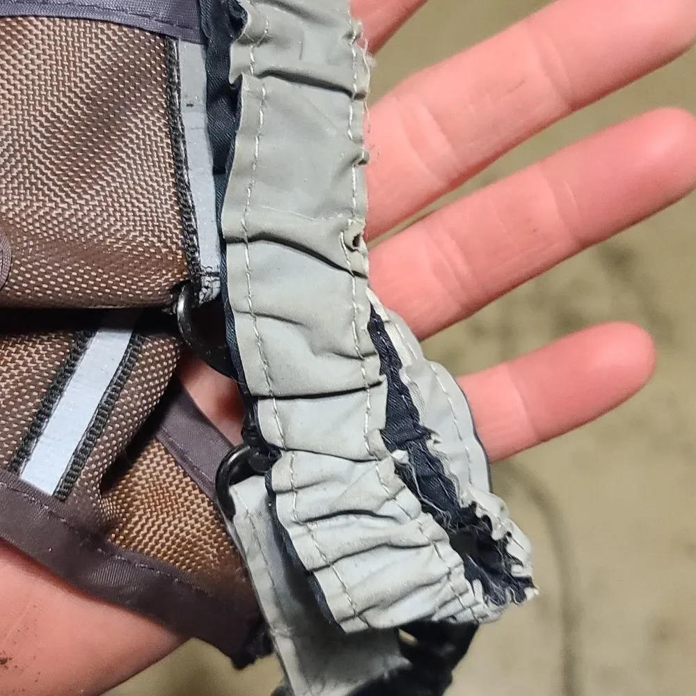Small animal harness